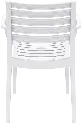 026_artemis_white_back_low-45638.webp