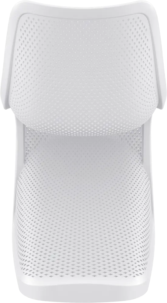 026_bloom_white_back_low-1437636007.webp