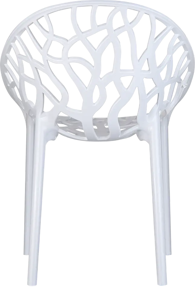 018_crystal_white_back_low-56318.webp