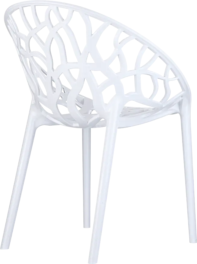 019_crystal_white_back_side_low-72948.webp