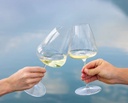 RIEDEL Winewings Sauvignon Blanc