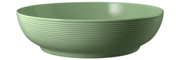 [656565] SELTMANN Foodbowl 25 cm Salbeigrün