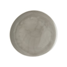 [10227] ROSENTHAL Junto Pearl Grey Speiseteller 27 cm